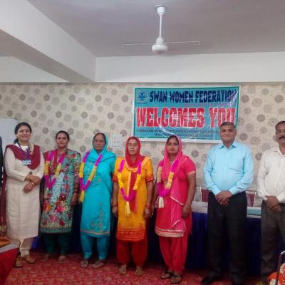 Election to upper house of Swanfed